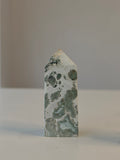 Ocean Jasper Tower | 7