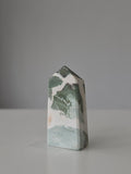Ocean Jasper Tower | 1