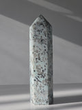Kiwi Jasper Tower
Crystal Tower
Luxury Crystal Décor
Statement Crystal Piece
Stone and Bloom
On Trend
Coastal Vibe