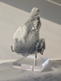 High-grade Sugar Fluorite specimen featuring sparkling silver-grey and white druzy crystals on a display stand, showcasing exceptional crystal coverage and natural sculptural formation