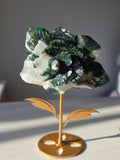 Moss Agate Flower on Stand, Green, White, Quartz, Flower, Natural Stone, On trend, Home Decor, Statement Styling for your home, Moss Agate Crystal, On trend, Green, White, Crystal
