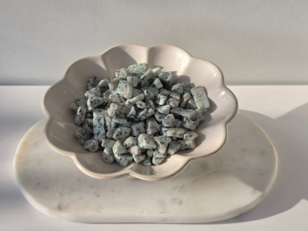 Kiwi Jasper Chip Bag