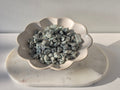Kiwi Jasper Chip Bag