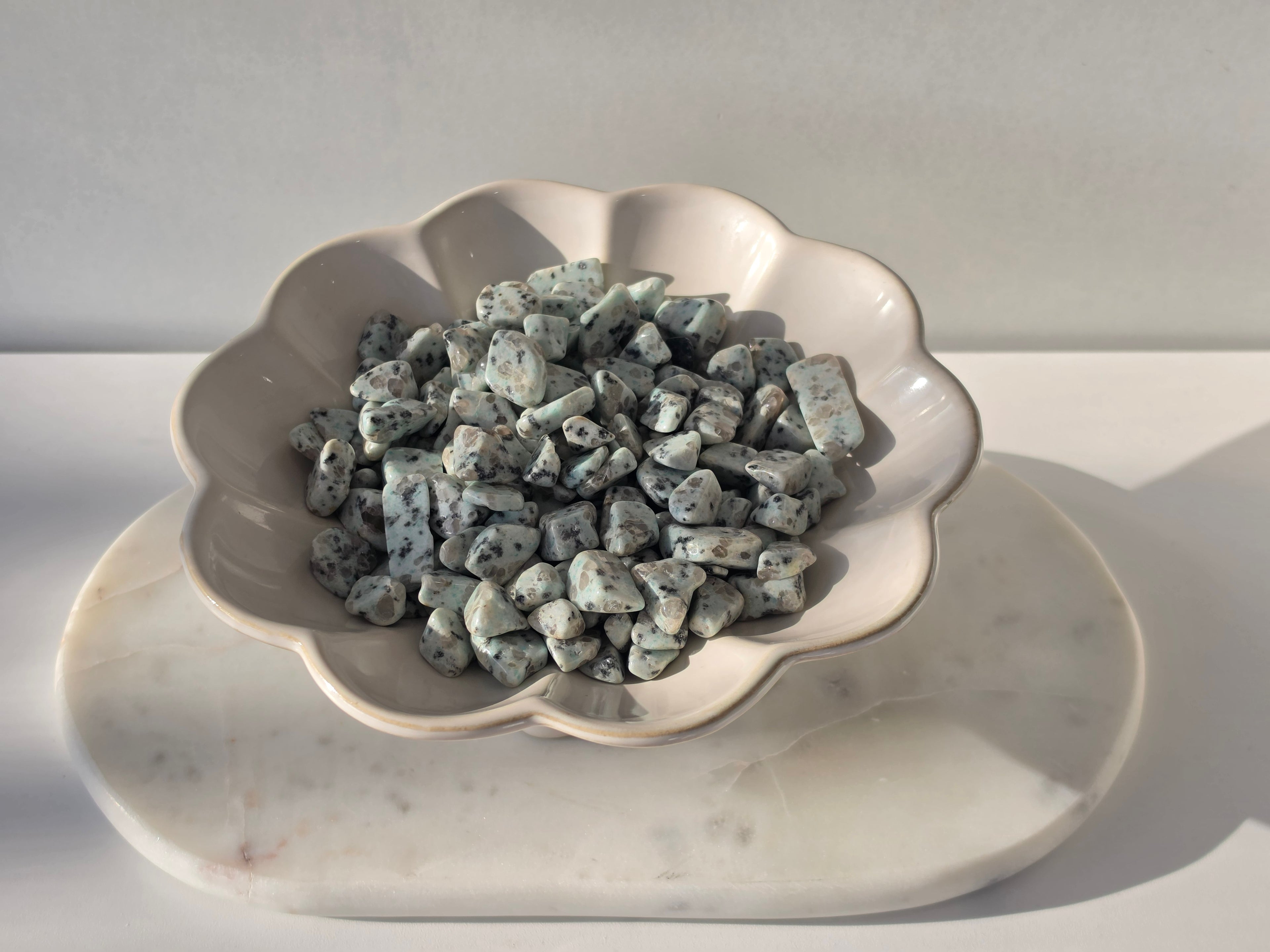 Kiwi Jasper Chip Bag