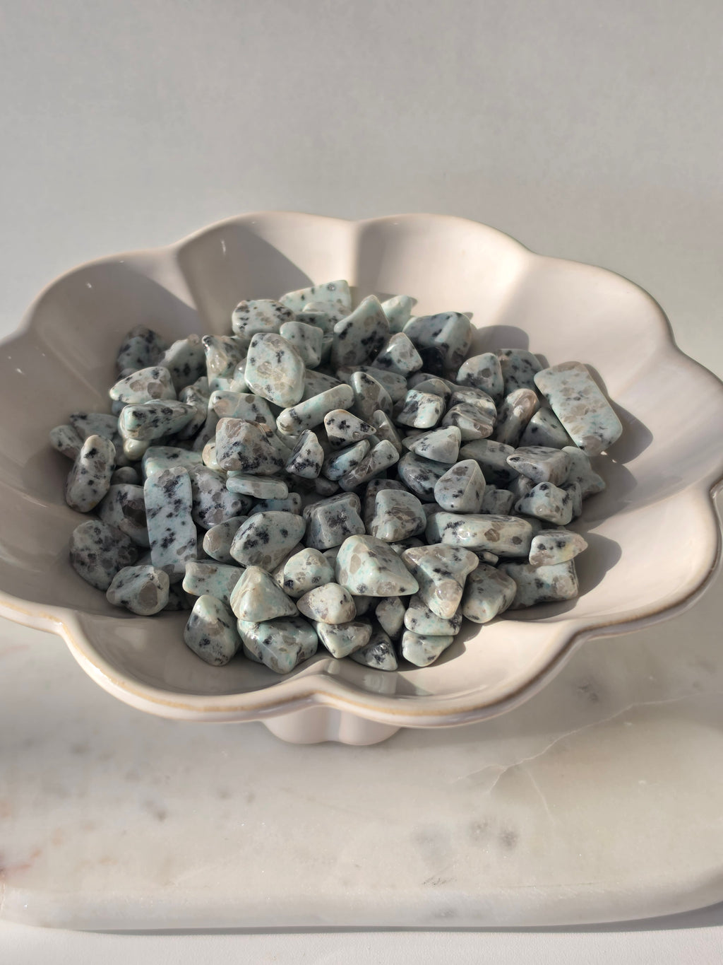 Kiwi Jasper Chip Bag