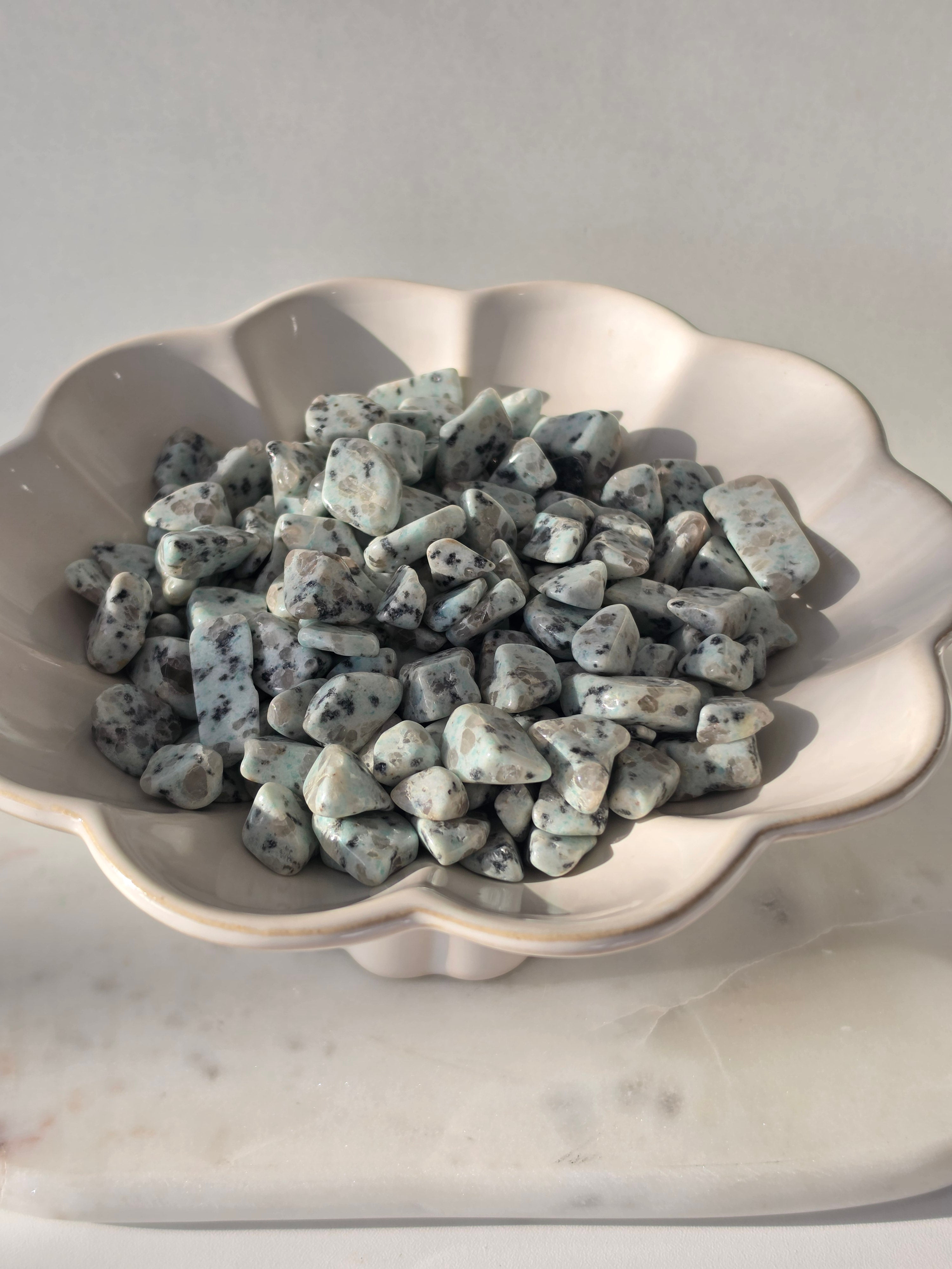 Kiwi Jasper Chip Bag